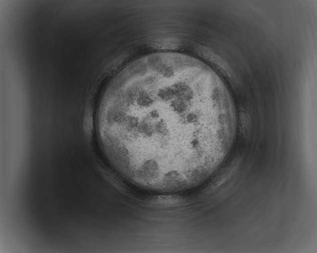 X0000100960541200807151400