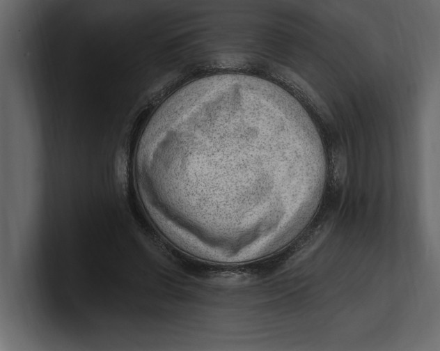 X0000100960542200807151400