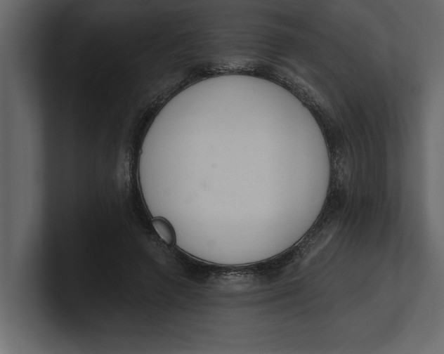 X0000100960546200807151400