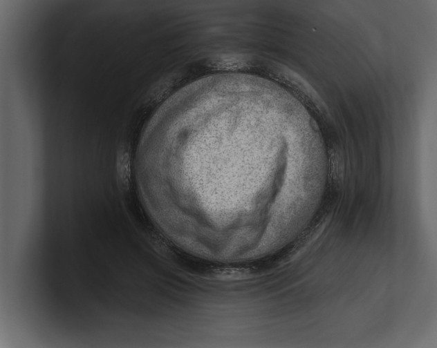 X0000100960549200807151400