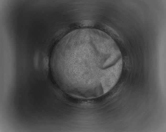 X0000100960550200807151400