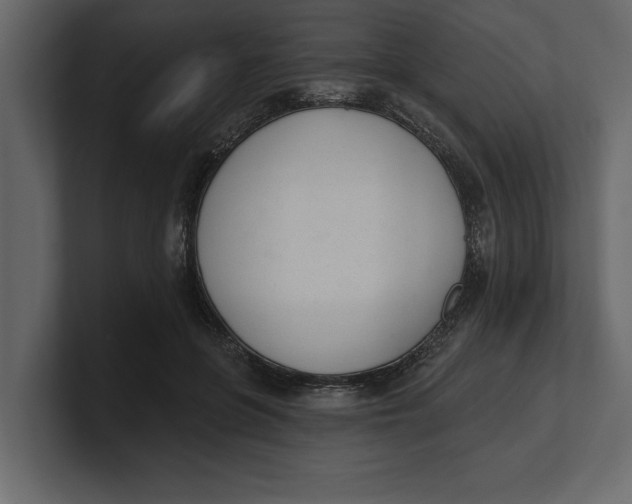 X0000100960551200807151400