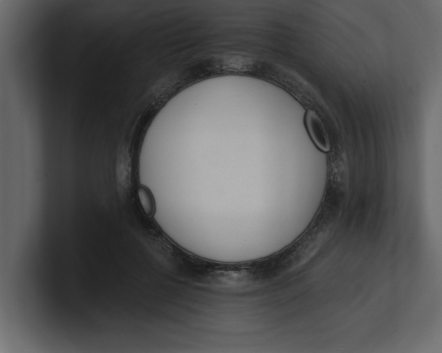 X0000100960552200807151400