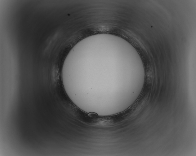 X0000100960555200807151400