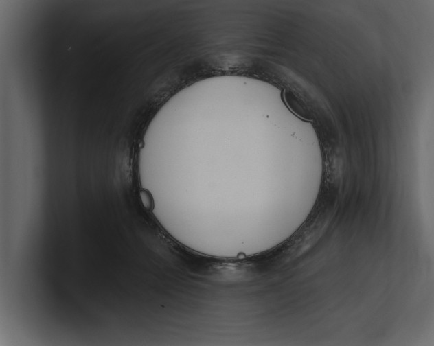 X0000100960558200807151400