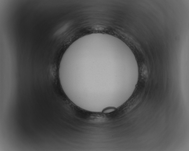 X0000100960559200807151400