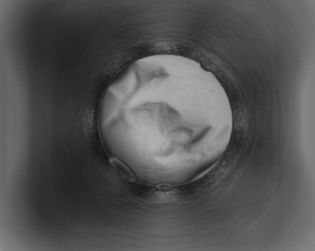 X0000100960560200807151401