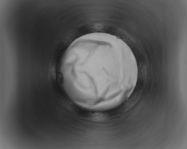 X0000100960562200807151401