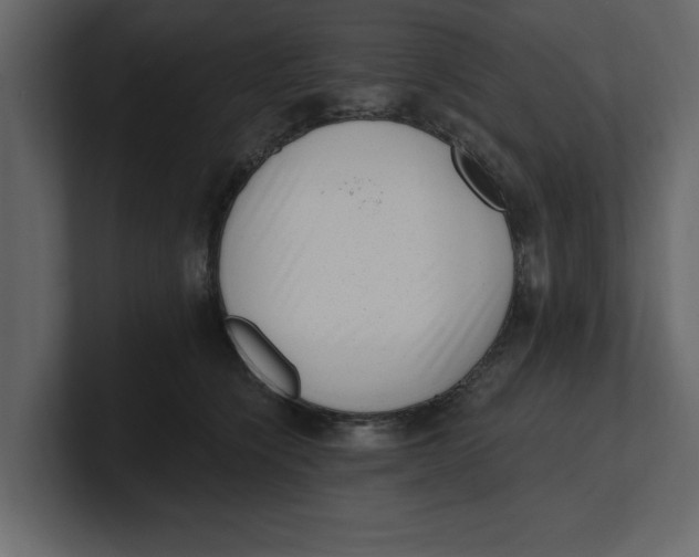 X0000100960564200807151401