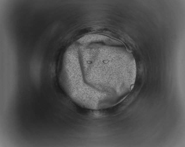 X0000100960565200807151401