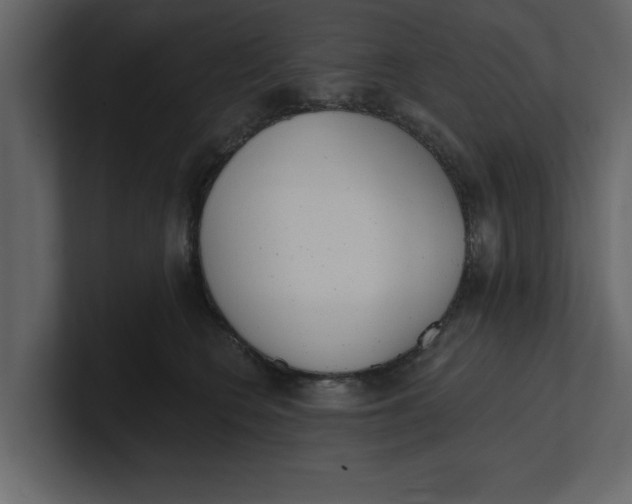 X0000100960566200807151401