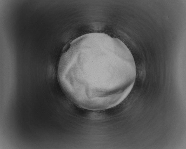 X0000100960568200807151401