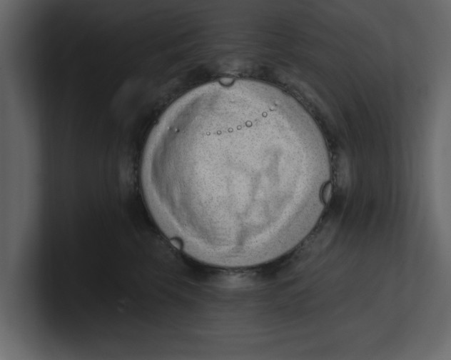 X0000100960569200807151401