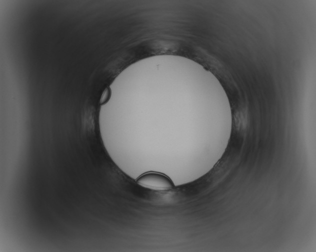 X0000100960570200807151401