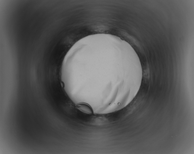 X0000100960572200807151401