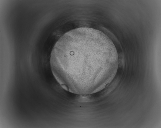 X0000100960573200807151401