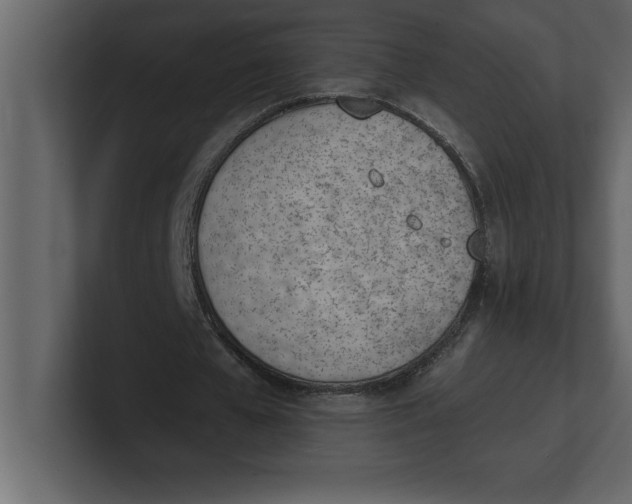 X0000100960577200807151400