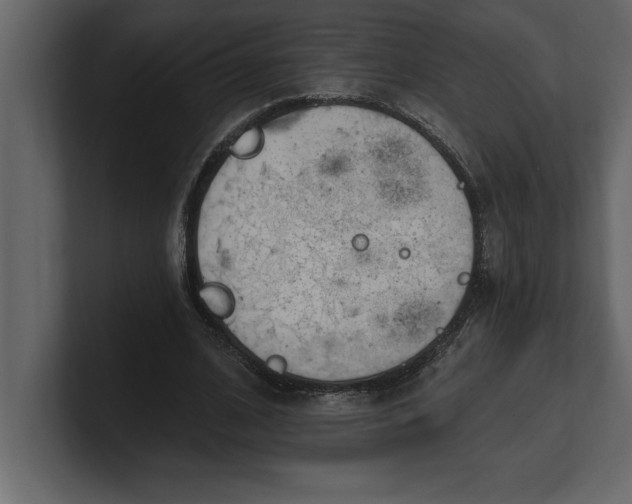 X0000100960584200807151400