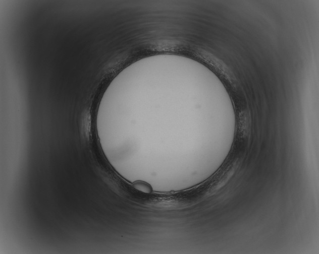 X0000100960589200807151400