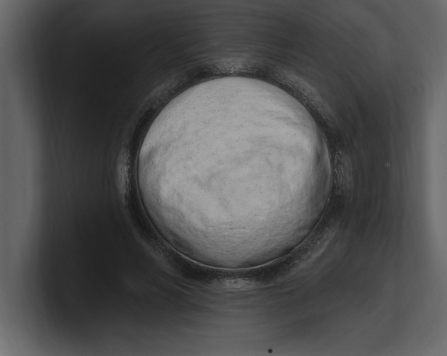 X0000100960590200807151400