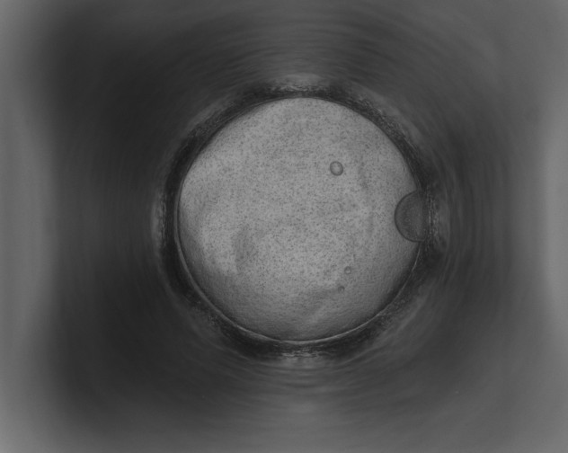 X0000100960591200807151400