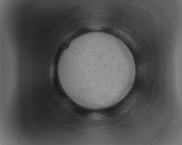 X0000100960596200807151400