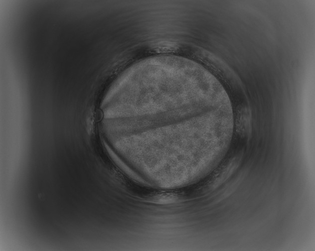 X0000100960604200807151400