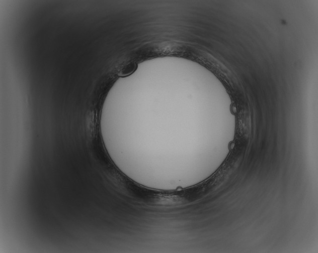 X0000100960605200807151400