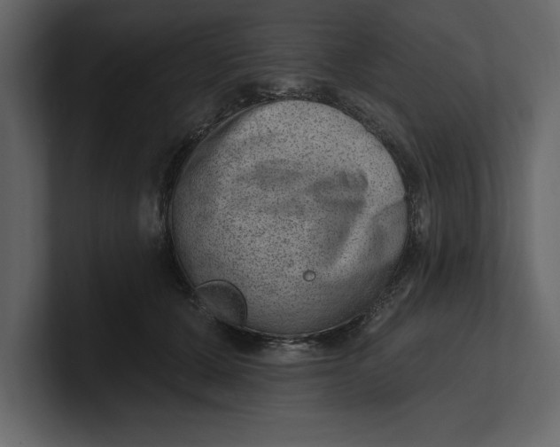 X0000100960607200807151400