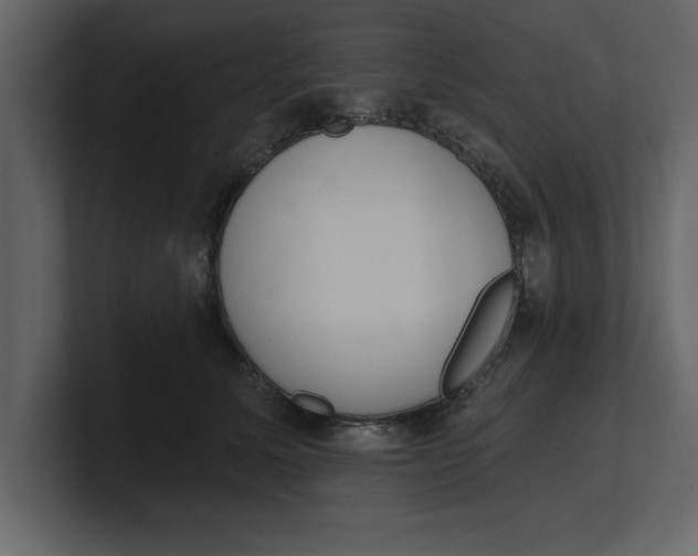 X0000100960611200807151400