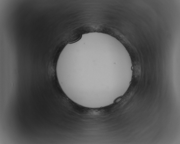 X0000100960613200807151359