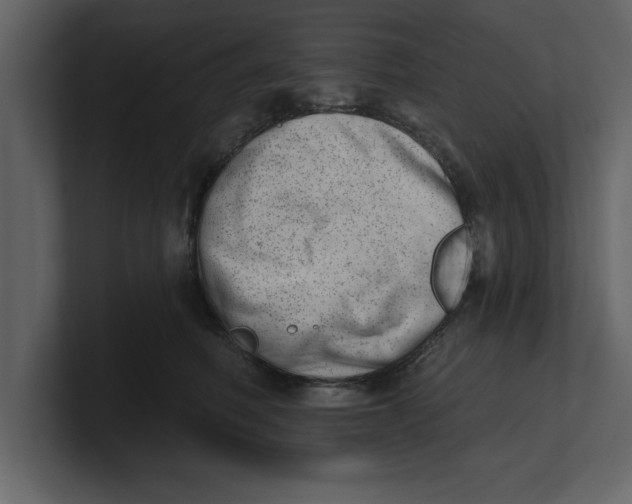 X0000100960614200807151359