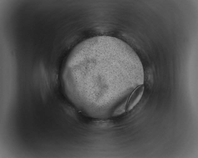 X0000100960615200807151359