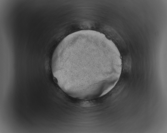 X0000100960616200807151359