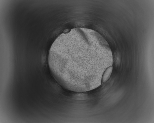 X0000100960619200807151359