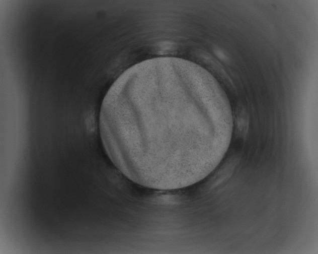 X0000100960620200807151359