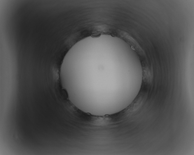 X0000100960621200807151359