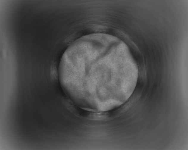 X0000100960622200807151359