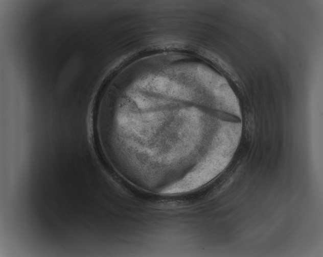 X0000100960629200807151359