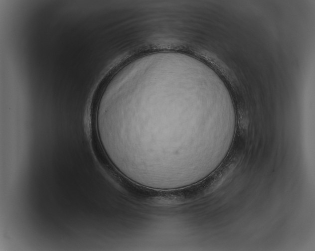 X0000100960630200807151359