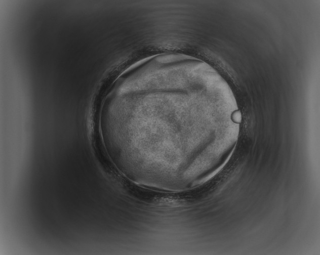 X0000100960635200807151359