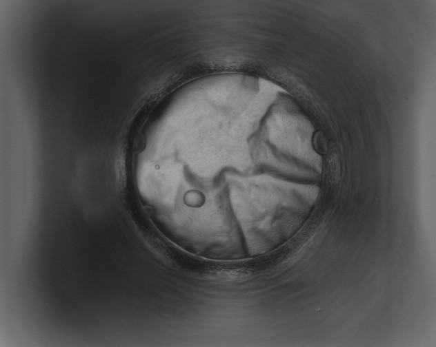 X0000100960638200807151359