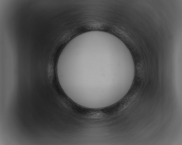 X0000100960642200807151359