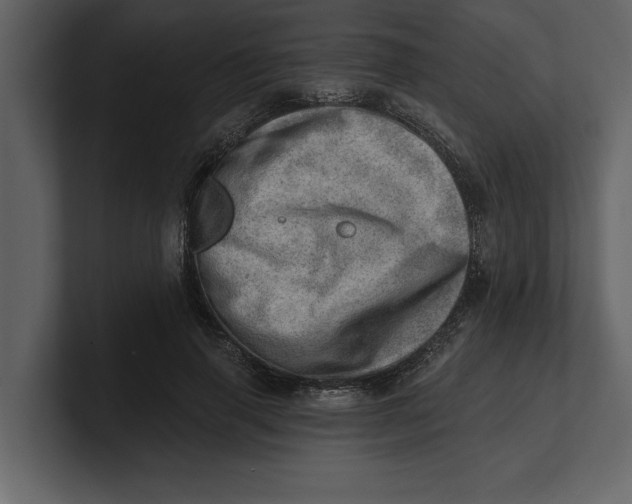 X0000100960645200807151359