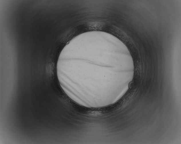 X0000100960649200807151359