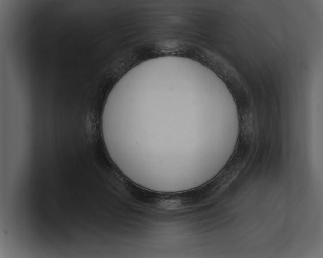 X0000100960653200807151359