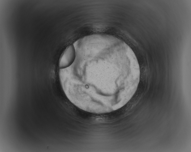 X0000100960655200807151359