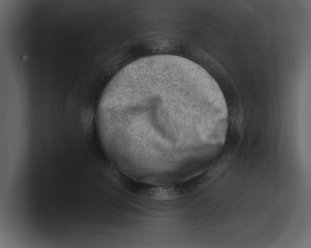 X0000100960660200807151359