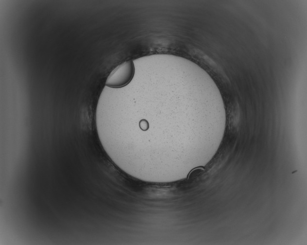 X0000100960661200807151359