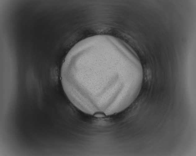 X0000100960664200807151359